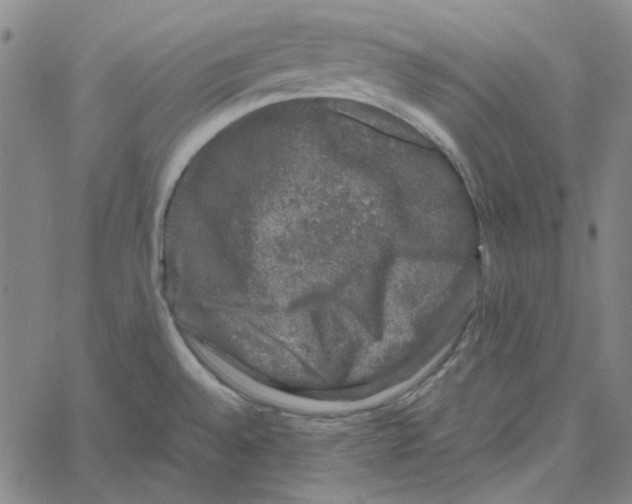 X0000061141528200512161517