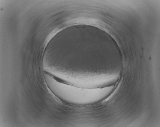 X0000061141529200512161517