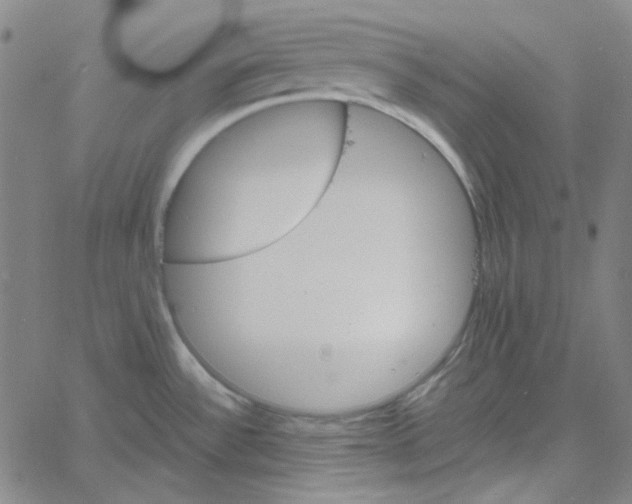 X0000061141532200512161517