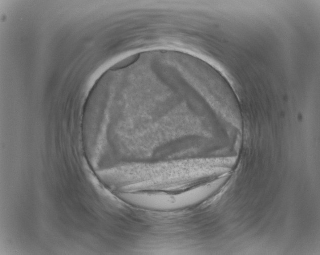 X0000061141534200512161517