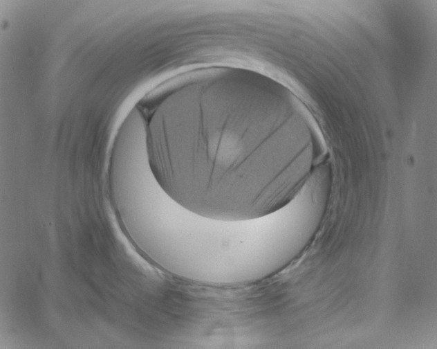 X0000061141536200512161517