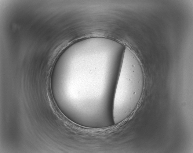 X0000061150001200511181045