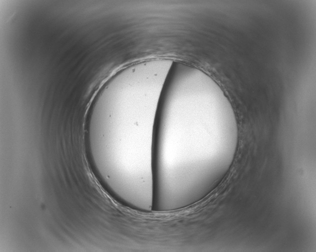 X0000061150002200511181045