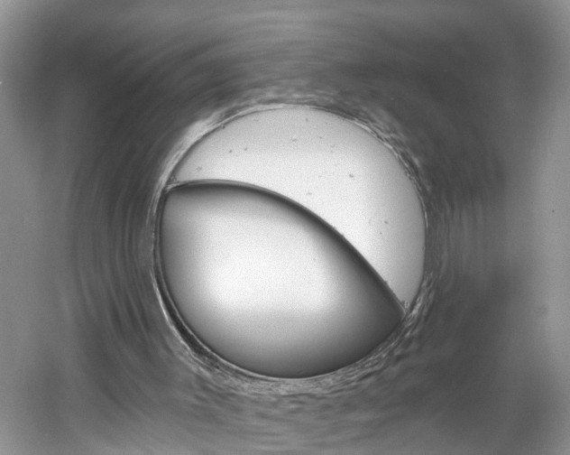 X0000061150003200511181045