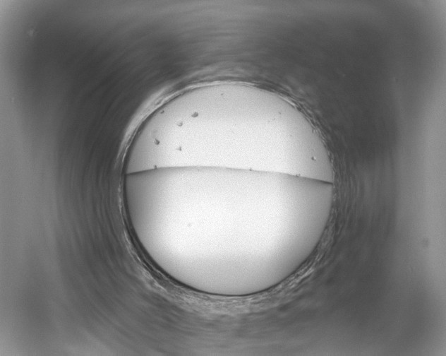 X0000061150004200511181045