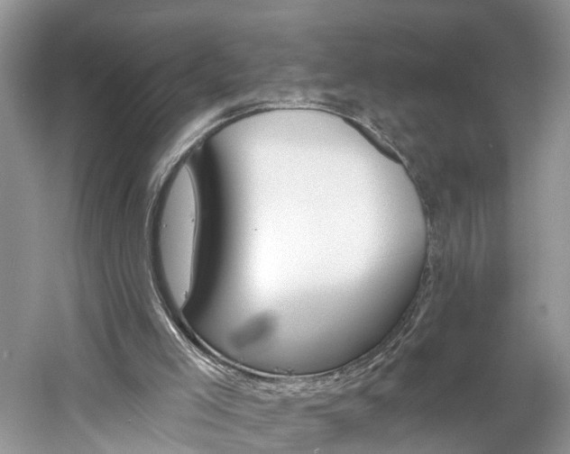 X0000061150005200511181045