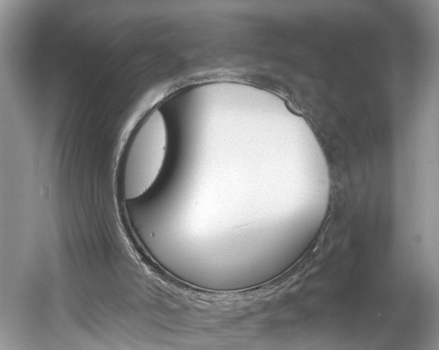 X0000061150006200511181045