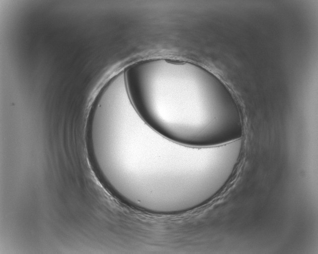 X0000061150007200511181045