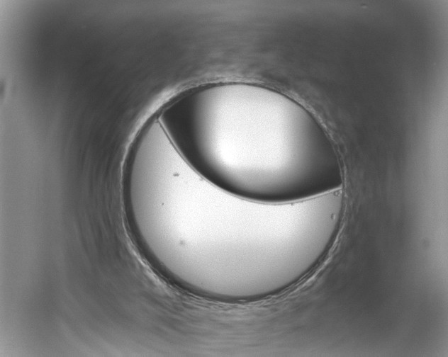 X0000061150008200511181045