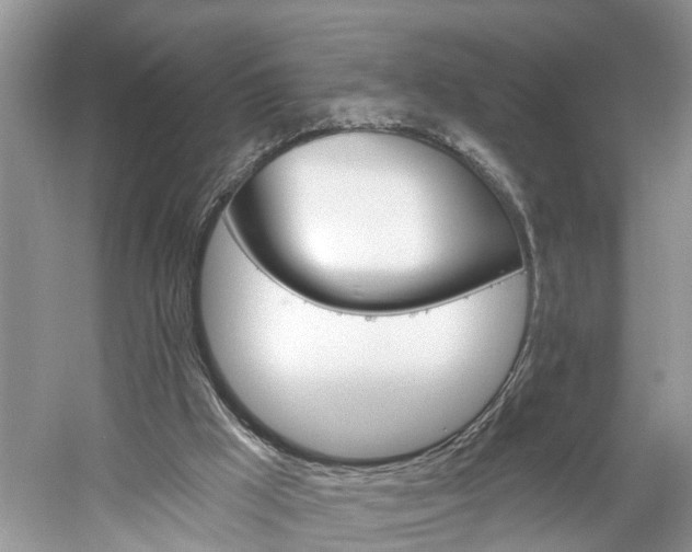 X0000061150009200511181045