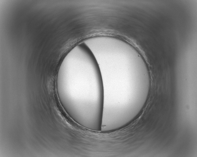 X0000061150010200511181045