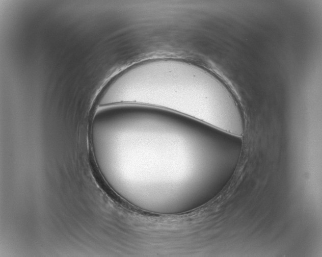 X0000061150011200511181045