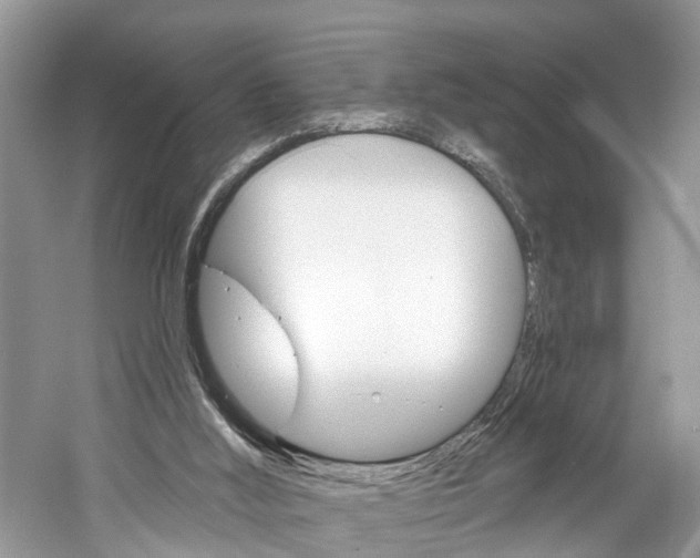 X0000061150012200511181045