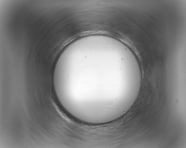 X0000061150013200511181045