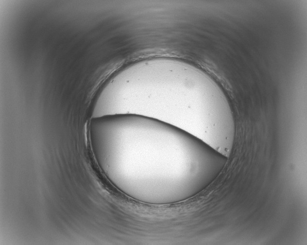 X0000061150014200511181045