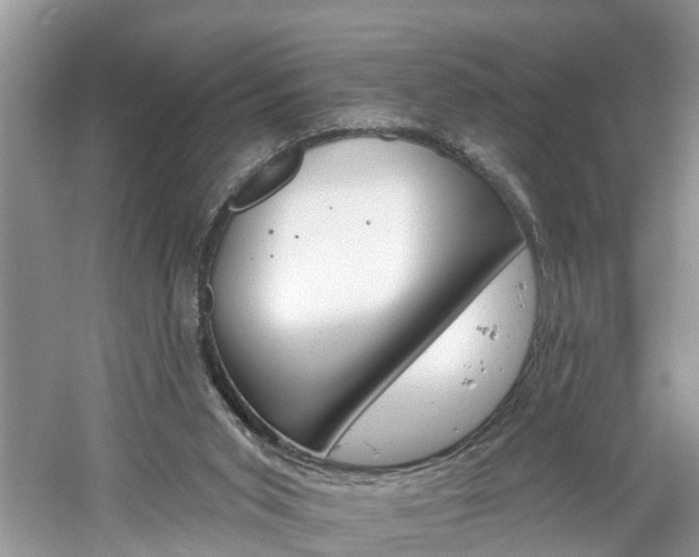 X0000061150015200511181045