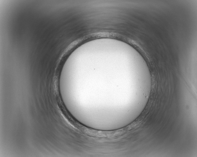 X0000061150016200511181045