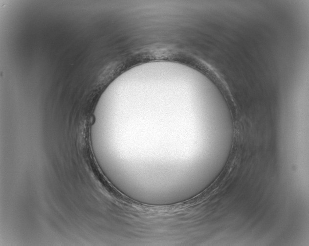 X0000061150018200511181045