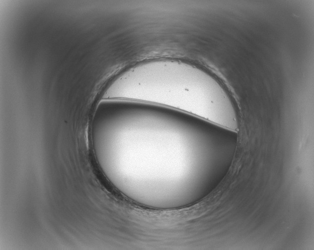 X0000061150019200511181045