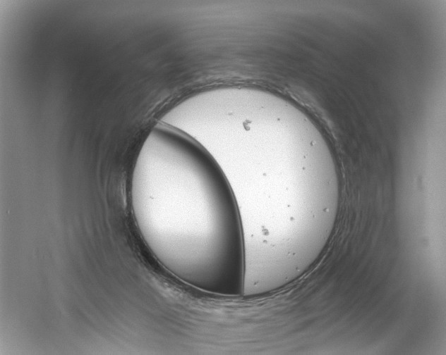 X0000061150021200511181044