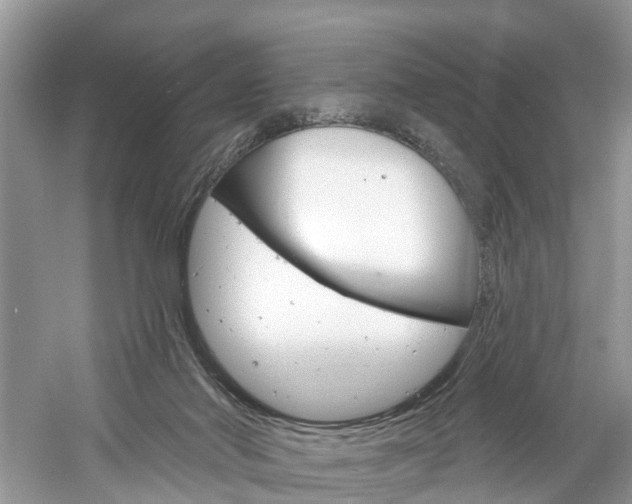 X0000061150022200511181044