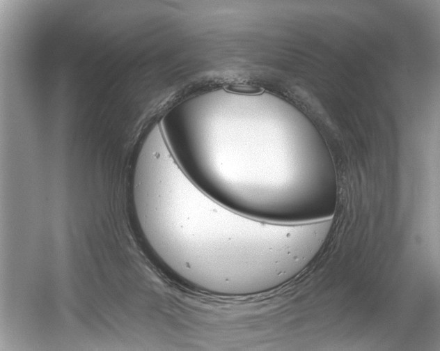 X0000061150023200511181044