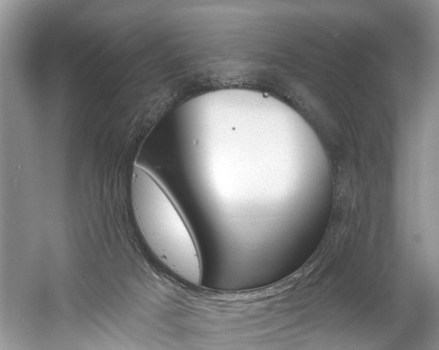 X0000061150025200511181044