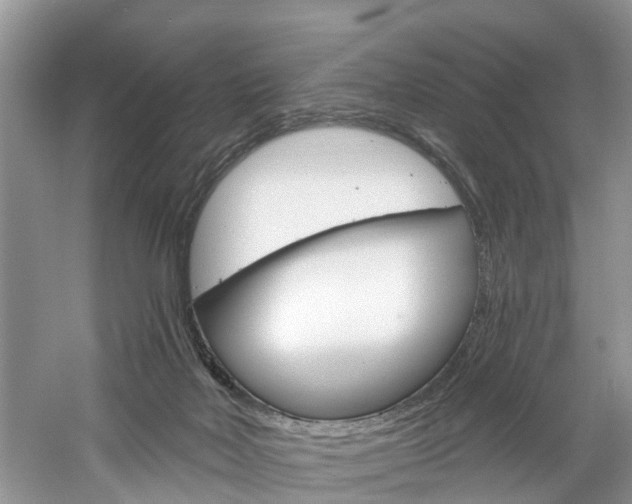 X0000061150026200511181044