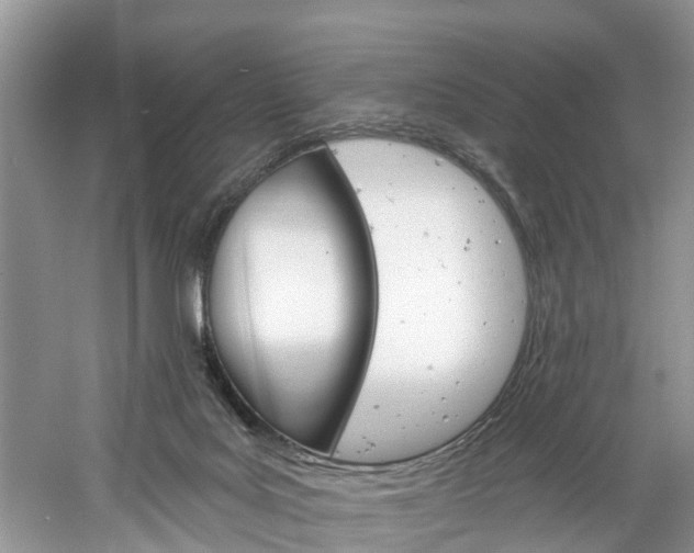 X0000061150027200511181044