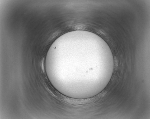 X0000061150028200511181044