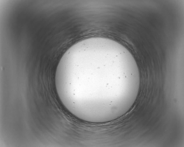 X0000061150029200511181044