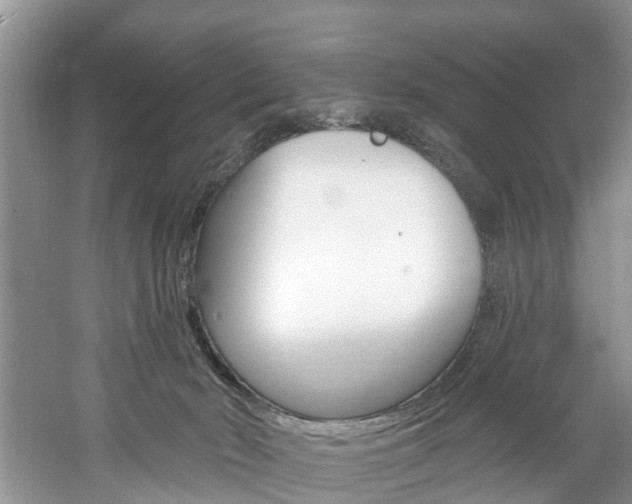 X0000061150030200511181044