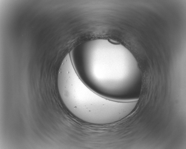 X0000061150033200511181044