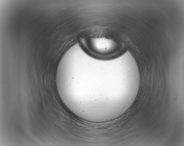 X0000061150035200511181044