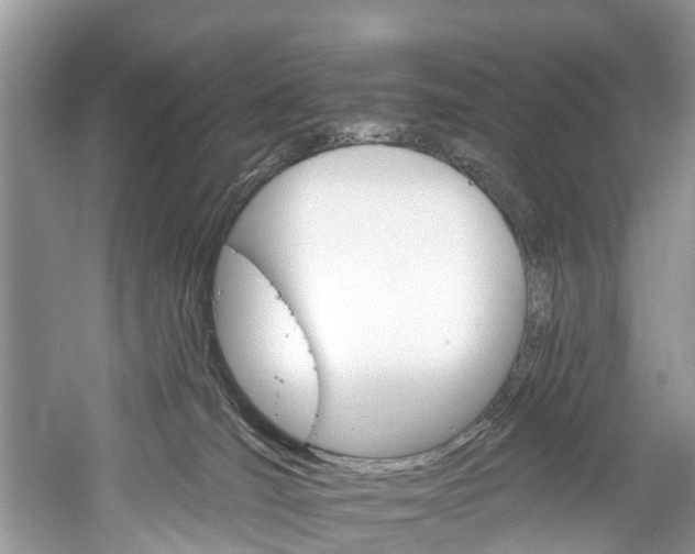 X0000061150036200511181044