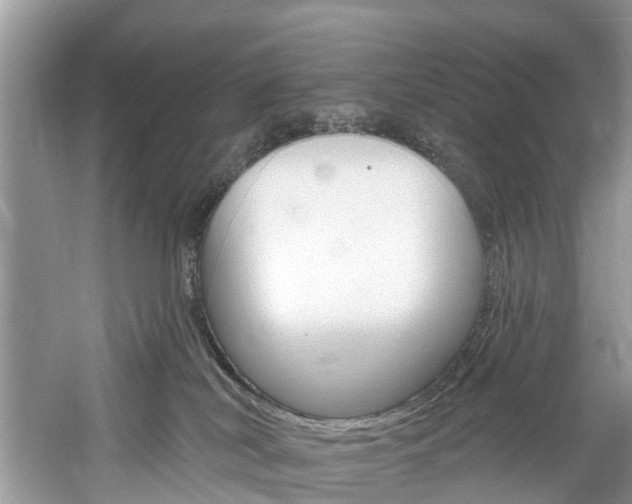 X0000061150038200511181044