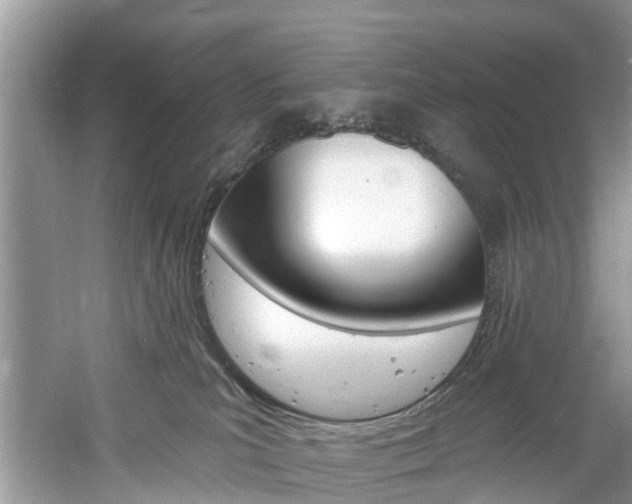 X0000061150039200511181044