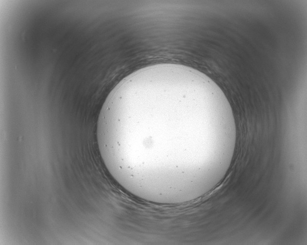 X0000061150041200511181044