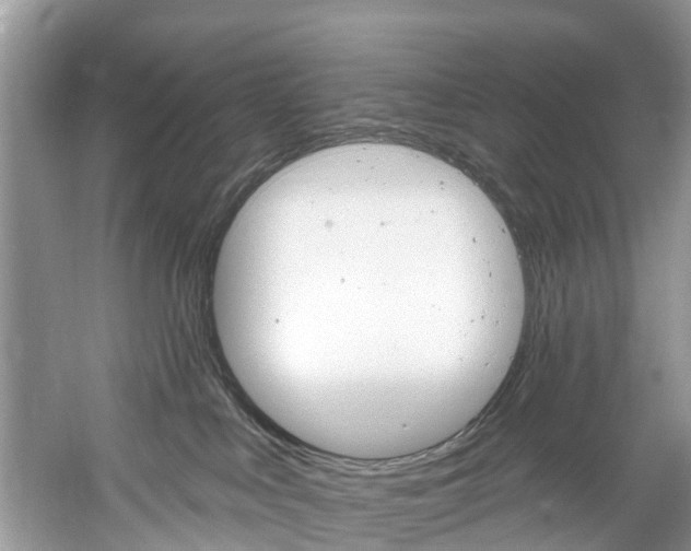 X0000061150043200511181044