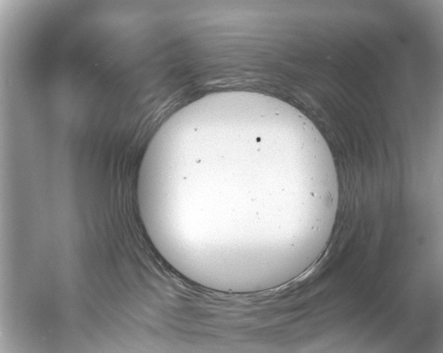 X0000061150045200511181044