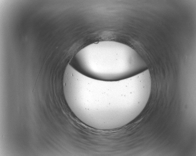 X0000061150046200511181044