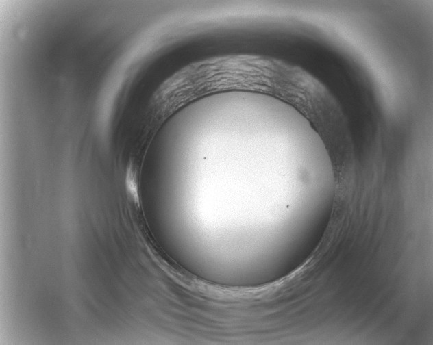 X0000061150047200511181044