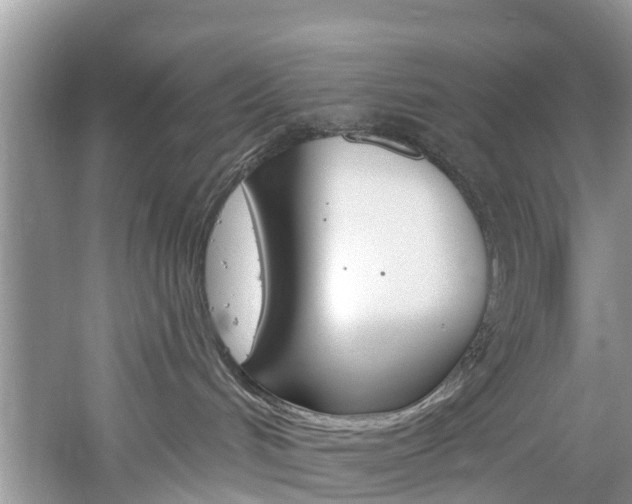 X0000061150048200511181044