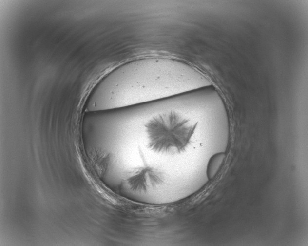 X0000061150049200511181043