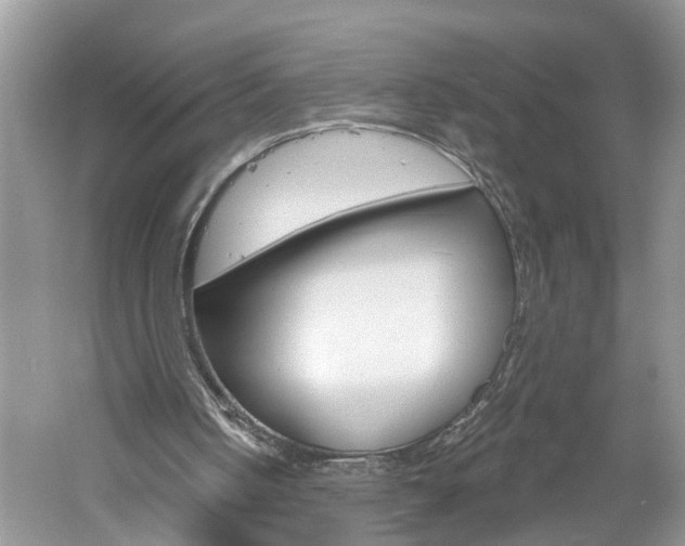 X0000061150050200511181043