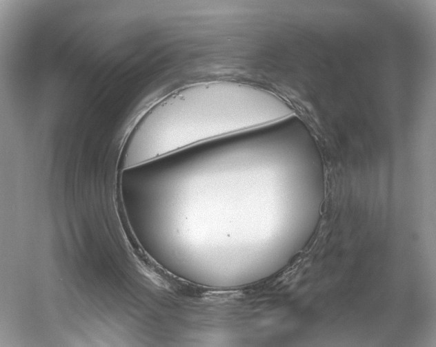 X0000061150051200511181043