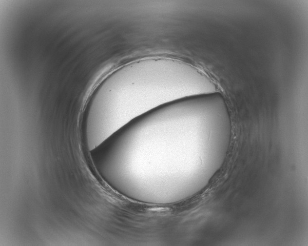 X0000061150053200511181043