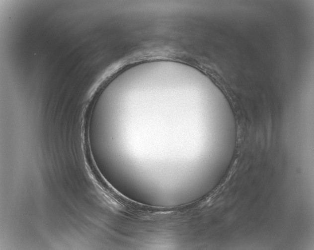 X0000061150054200511181043