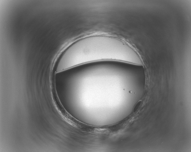 X0000061150055200511181043