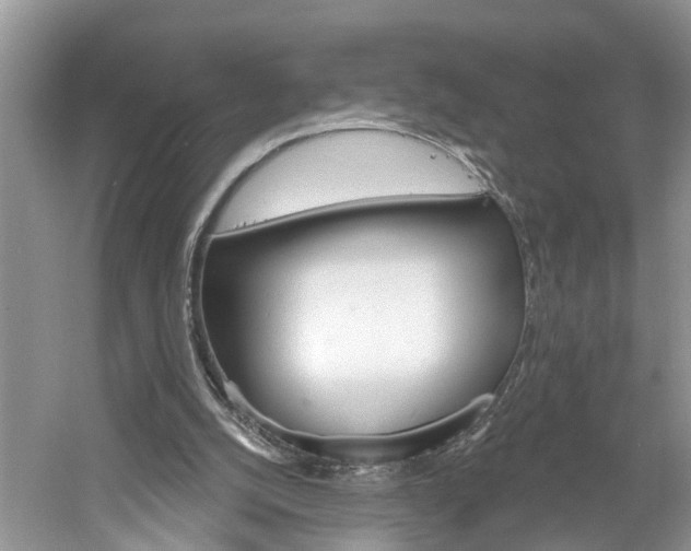 X0000061150056200511181043